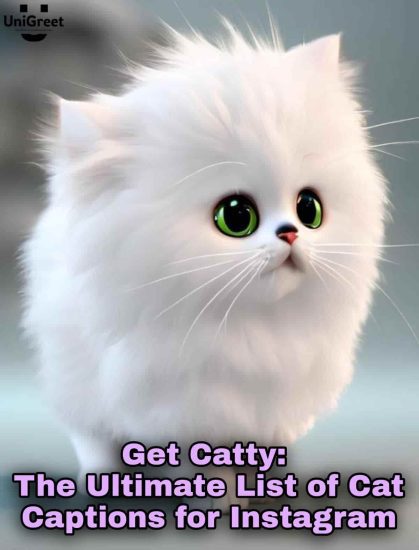 The Ultimate List of Cat Captions for Instagram