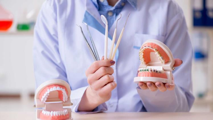 Bureaucratic Bite Buster