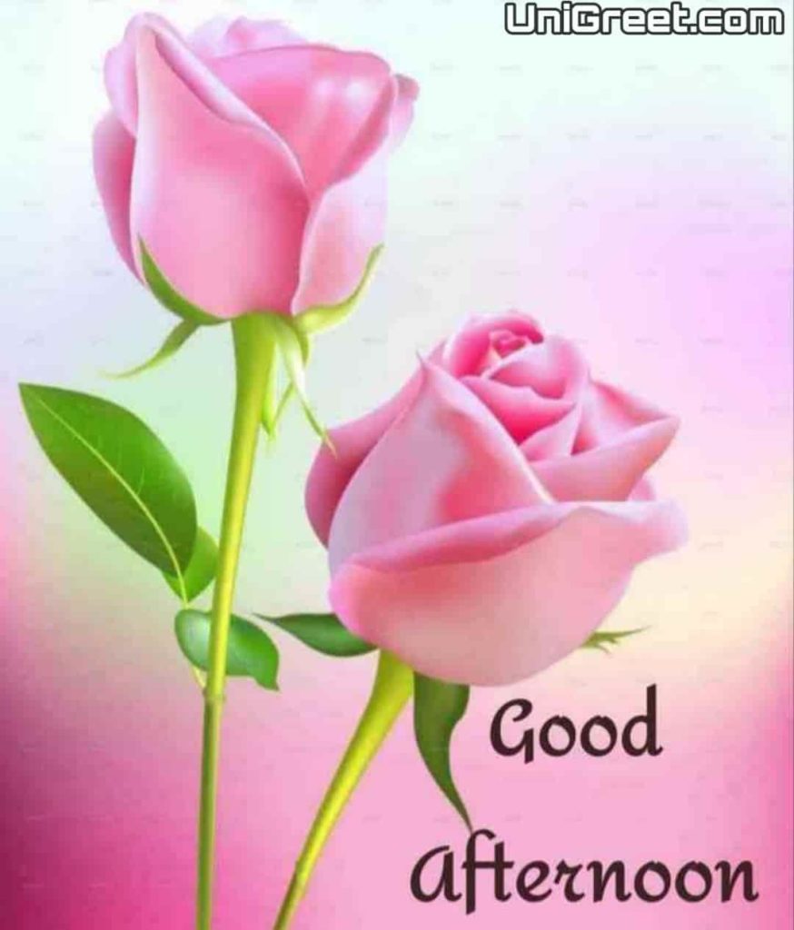 Good Afternoon Images Quotes Wallpaper Messages Free Download