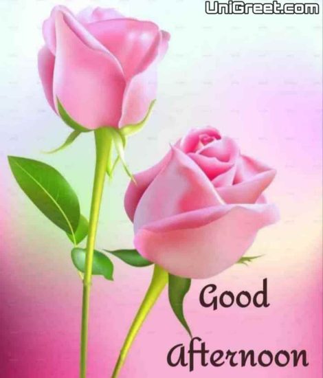 Good Afternoon Images Quotes Wallpaper Messages Free Download