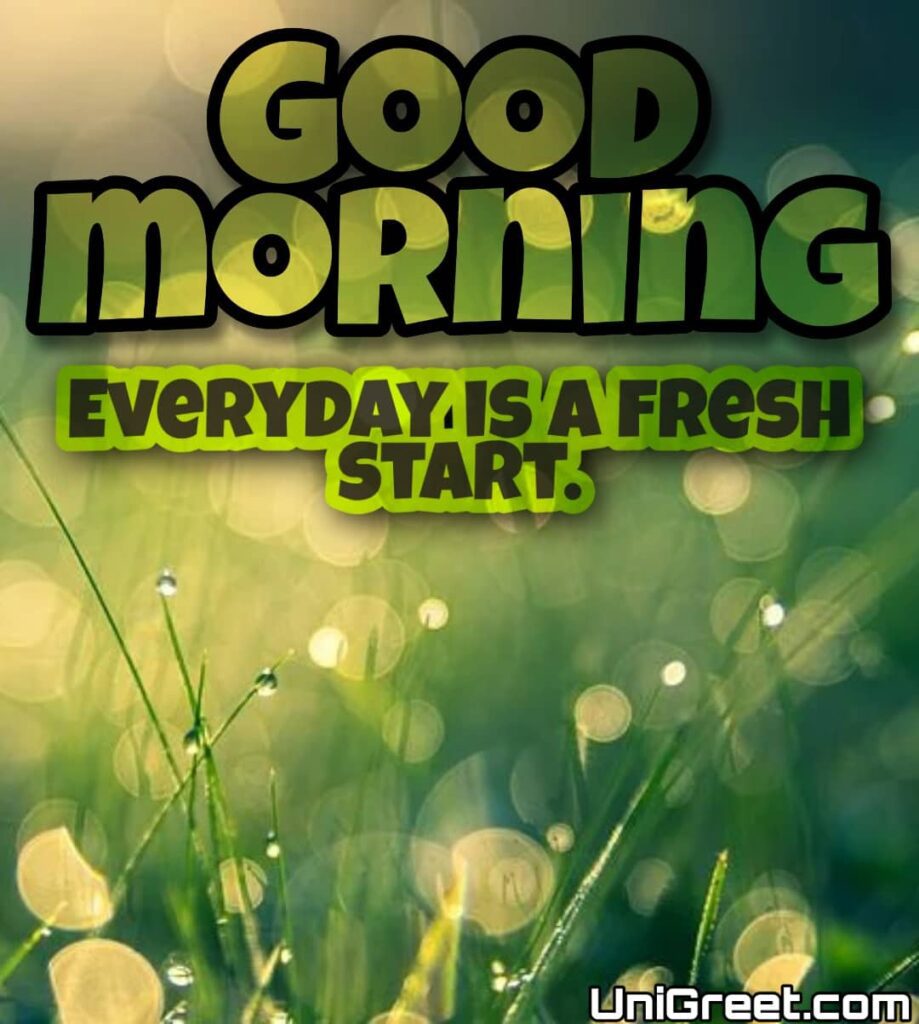 Good Morning Images Hd 1080P Download Beautiful good morning images hd 1080p download
