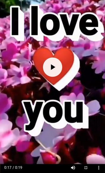 Good Morning Love Status Video Download For WhatsApp