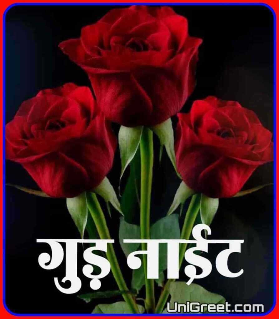 Good Night Images In Marathi Beautiful good night rose images in marathi