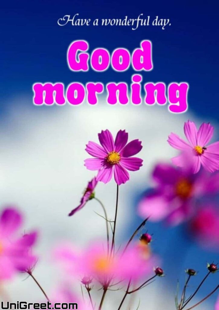 BEAUTIFUL GOOD MORNING FLOWERS IMAGES HD, PHOTOS FOR WHATSAPP Pretty flowers good morning images
