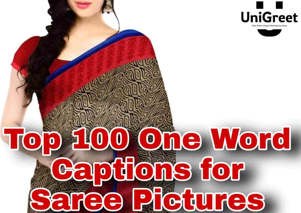 One word caption for saree