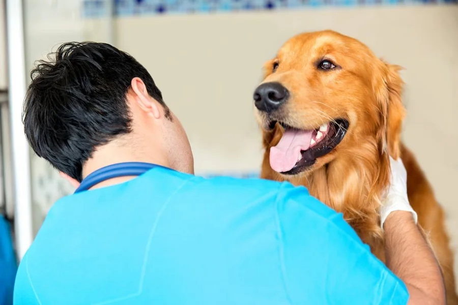 How to Prepare Your Vet Practice for a Smooth Sale