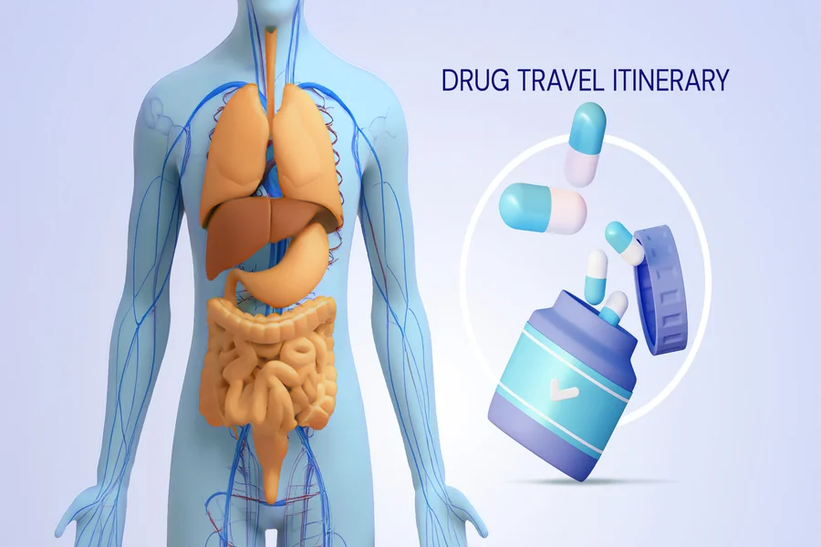 Pharmacokinetics Services