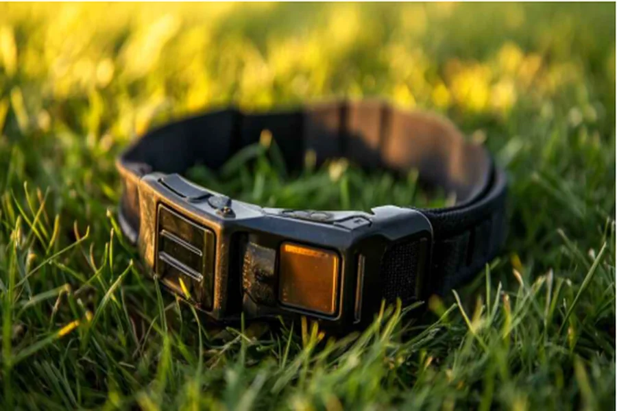 Invisible Fence Collar