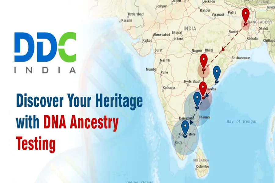 Ancestry DNA test