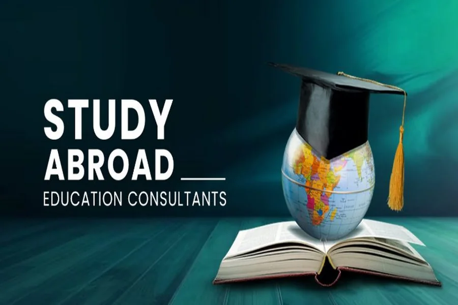 Education Consultants