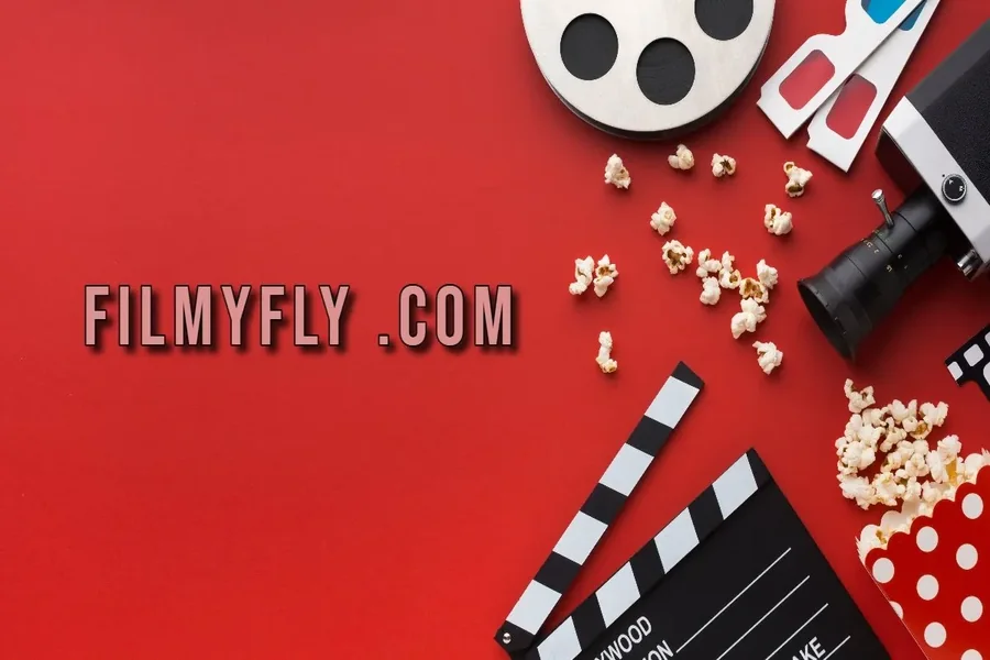 Filmyfly com
