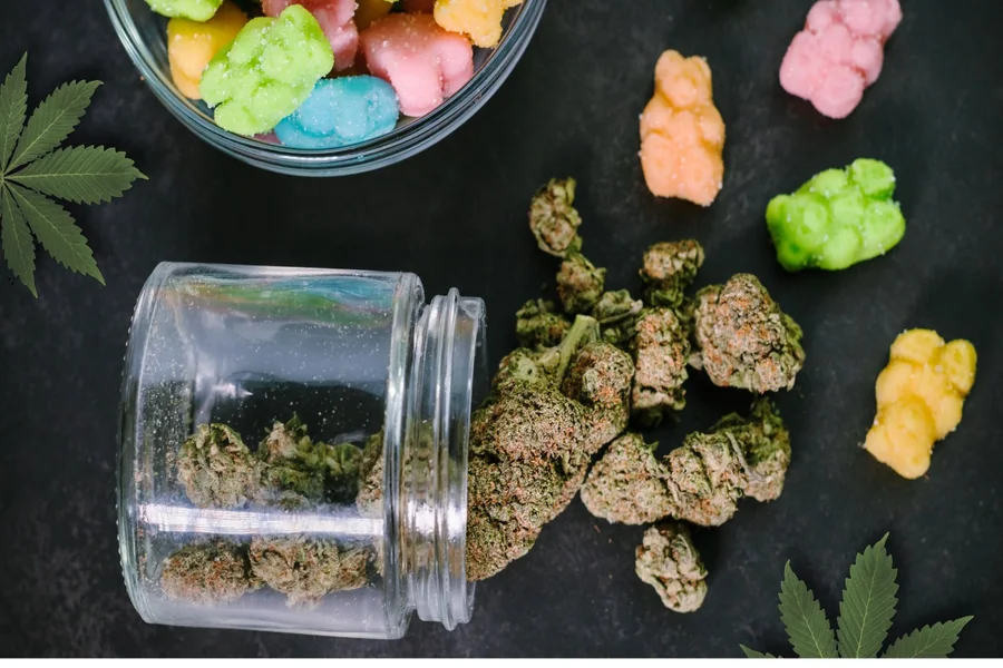 CBD Gummies Are Made